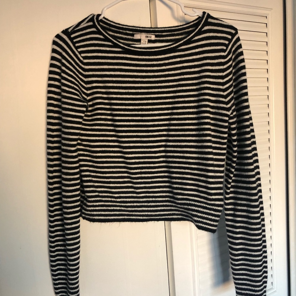 Amuse society sweater